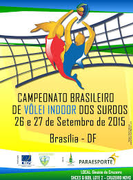 Campeonato Brasileiro de Vôlei 2015